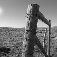 Buy canvas prints of  The Fenceline by Brian Ewing