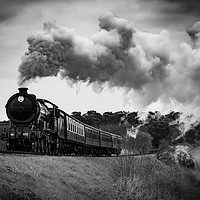 Buy canvas prints of All Aboard!! by Tim Smith