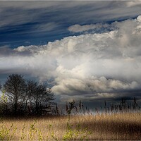 Buy canvas prints of Low storm clouds  by paul holt