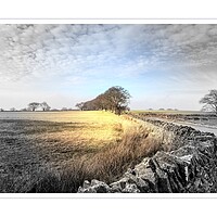 Buy canvas prints of On the way to Manmoel by paul holt