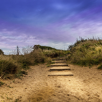Buy canvas prints of  Steps  by paul holt