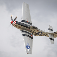 Buy canvas prints of P-51D Mustang by Simon Johnson