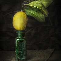 Buy canvas prints of Lemon Squeezy by Garry Quinn