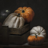 Buy canvas prints of Mixed squash by Garry Quinn