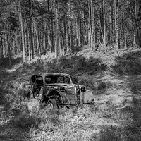 Buy canvas prints of Abandoned in the forest. by Garry Quinn