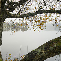 Buy canvas prints of Framed Loch Ard view by Garry Quinn