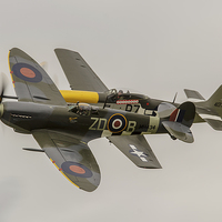 Buy canvas prints of Spitfire and Mustang by Alec Walker