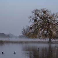 Buy canvas prints of  running through the mist by mike cooper