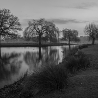 Buy canvas prints of  Bushy park boating lake by mike cooper