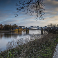 Buy canvas prints of  Barnes bridge early jogger by mike cooper
