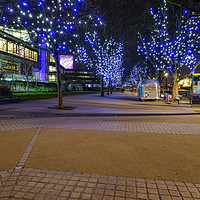 Buy canvas prints of south bank tree lights by mike cooper