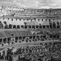 Buy canvas prints of inside the Coliseum by mike cooper