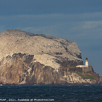 Buy canvas prints of Bass Rock by Philip Hodges aFIAP ,