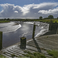 Buy canvas prints of Wigtown Harbour by Philip Hodges aFIAP ,