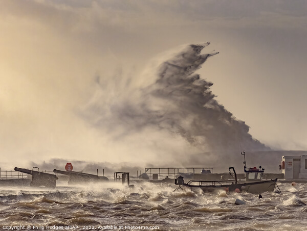 Storm Eunice Hits Lyme Regis (1) Picture Board by Philip Hodges aFIAP ,