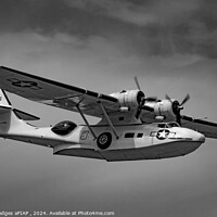 Buy canvas prints of Consolidated Catalina by Philip Hodges aFIAP ,