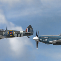 Buy canvas prints of Spitfire Duo   by Philip Hodges aFIAP ,