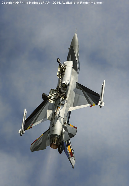 Lockheed Martin F-16AM Fighting Falcon Gear Down Picture Board by Philip Hodges aFIAP ,