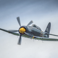 Buy canvas prints of  Hawker Sea Fury T20 Two Seat , Yeovilton 2014 by Philip Hodges aFIAP ,