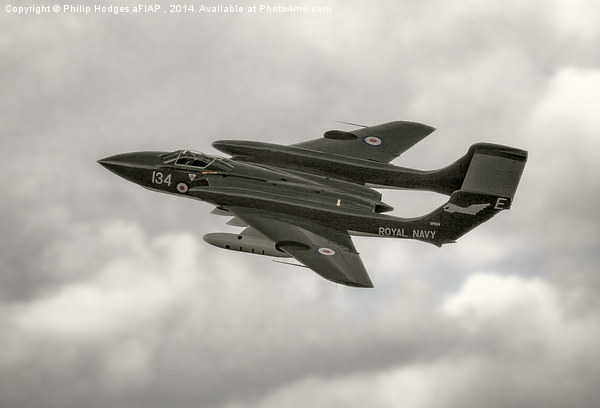 Sea Vixen FAW2 G-Cvix "Foxy Lady"  Picture Board by Philip Hodges aFIAP ,