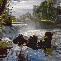 Buy canvas prints of Yeovilton Weir  by Philip Hodges aFIAP ,