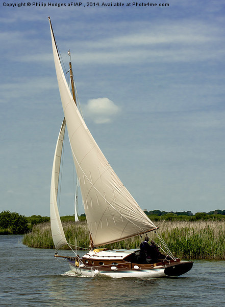  Traditional Broads Cruiser Picture Board by Philip Hodges aFIAP ,