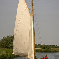 Buy canvas prints of  Traditional Norfolk Broads Cruiser by Philip Hodges aFIAP ,