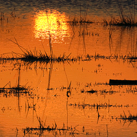 Buy canvas prints of  Sunset on the Levels by Philip Hodges aFIAP ,