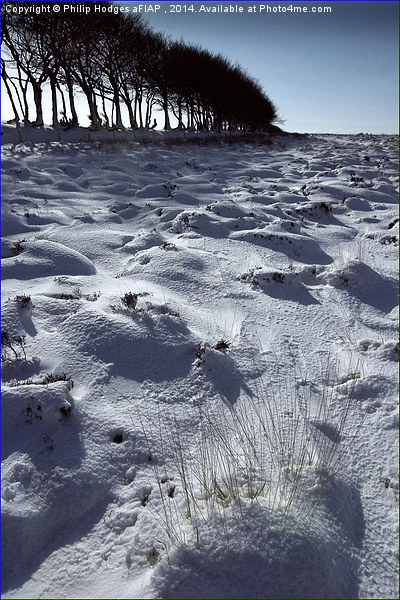 Snow on Exmoor  Picture Board by Philip Hodges aFIAP ,