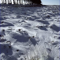 Buy canvas prints of Snow on Exmoor  by Philip Hodges aFIAP ,