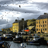 Buy canvas prints of Burghead Fishing Fleet  by Philip Hodges aFIAP ,