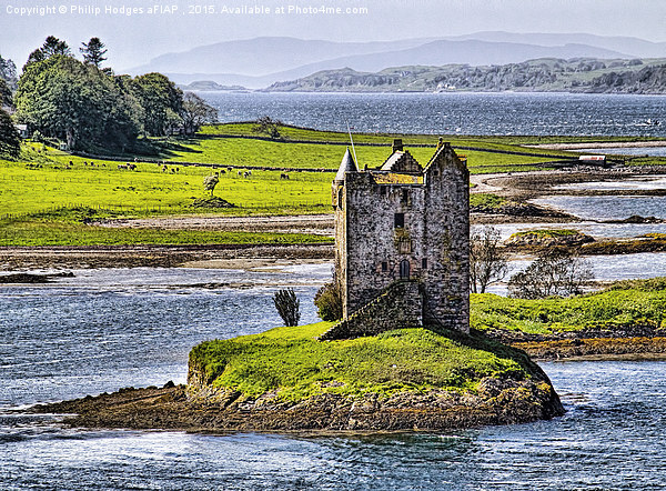  Castle Stalker , Port Appin , Argyllshire  Picture Board by Philip Hodges aFIAP ,