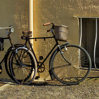 Buy canvas prints of Bicycles in France  by Philip Hodges aFIAP ,