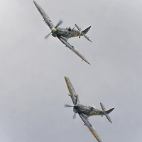 Buy canvas prints of A pair of Spitfires from the BBMF  by Philip Hodges aFIAP ,