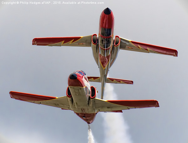  Patrulla Aguila Pair (4)  Picture Board by Philip Hodges aFIAP ,