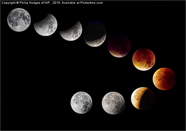 Lunar Eclipse 2015  Picture Board by Philip Hodges aFIAP ,