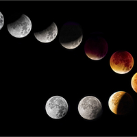 Buy canvas prints of Lunar Eclipse 2015  by Philip Hodges aFIAP ,