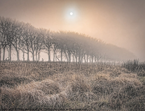 Exmoor Frost and Mist Picture Board by Philip Hodges aFIAP ,