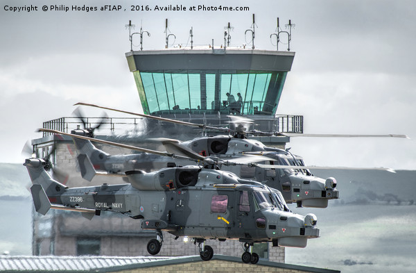 Westland Lynx Wildcats at RNAS Yeovilton 2016 Picture Board by Philip Hodges aFIAP ,
