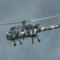 Buy canvas prints of Westland Wasp HAS1 by Philip Hodges aFIAP ,