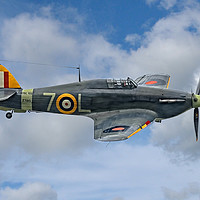 Buy canvas prints of Hawker Sea Hurricane Mk1b by Philip Hodges aFIAP ,