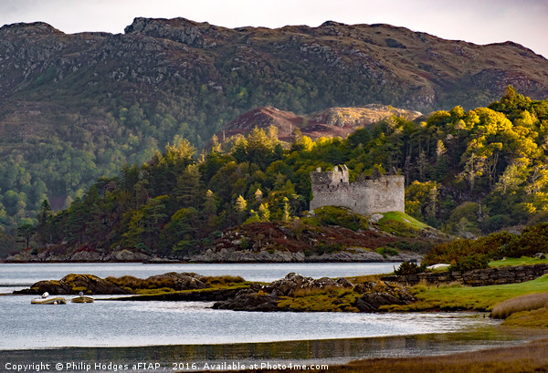 Castle Tioram Morning Light Picture Board by Philip Hodges aFIAP ,