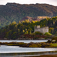 Buy canvas prints of Castle Tioram Morning Light by Philip Hodges aFIAP ,