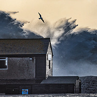 Buy canvas prints of Hurricane Brian Hits The Cob by Philip Hodges aFIAP ,
