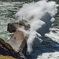 Buy canvas prints of Storm Francis hits Mullion Harbour Wall by Philip Hodges aFIAP ,