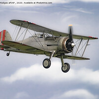 Buy canvas prints of Gloster Gladiator by Philip Hodges aFIAP ,