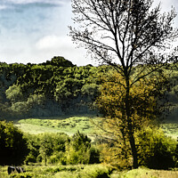 Buy canvas prints of Edge of the Somerset Levels by Philip Hodges aFIAP ,