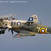 Buy canvas prints of Sea Hurricane with Hawker Hind by Philip Hodges aFIAP ,