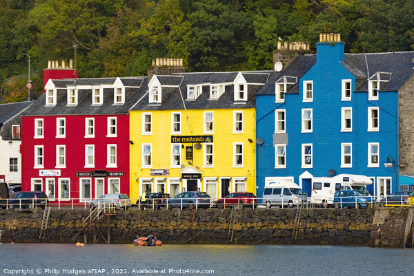 Tobermory Colours  Picture Board by Philip Hodges aFIAP ,
