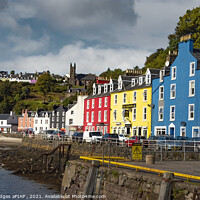 Buy canvas prints of Tobermory Waterfront by Philip Hodges aFIAP ,